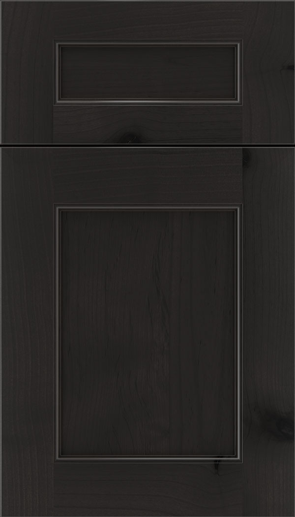 Lexington 5pc Alder recessed panel cabinet door in Charcoal