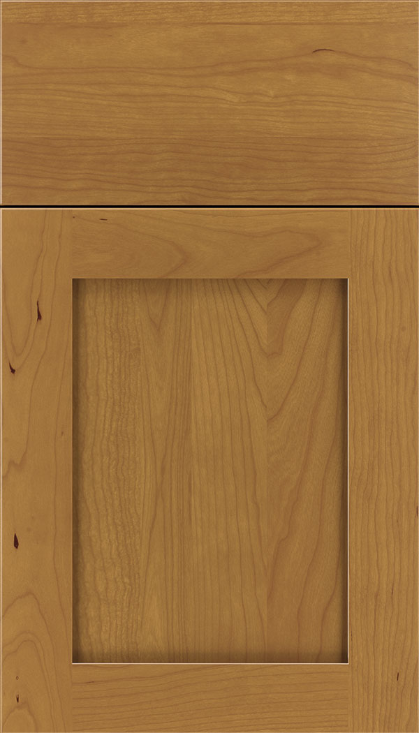 Plymouth Cherry shaker cabinet door in Ginger