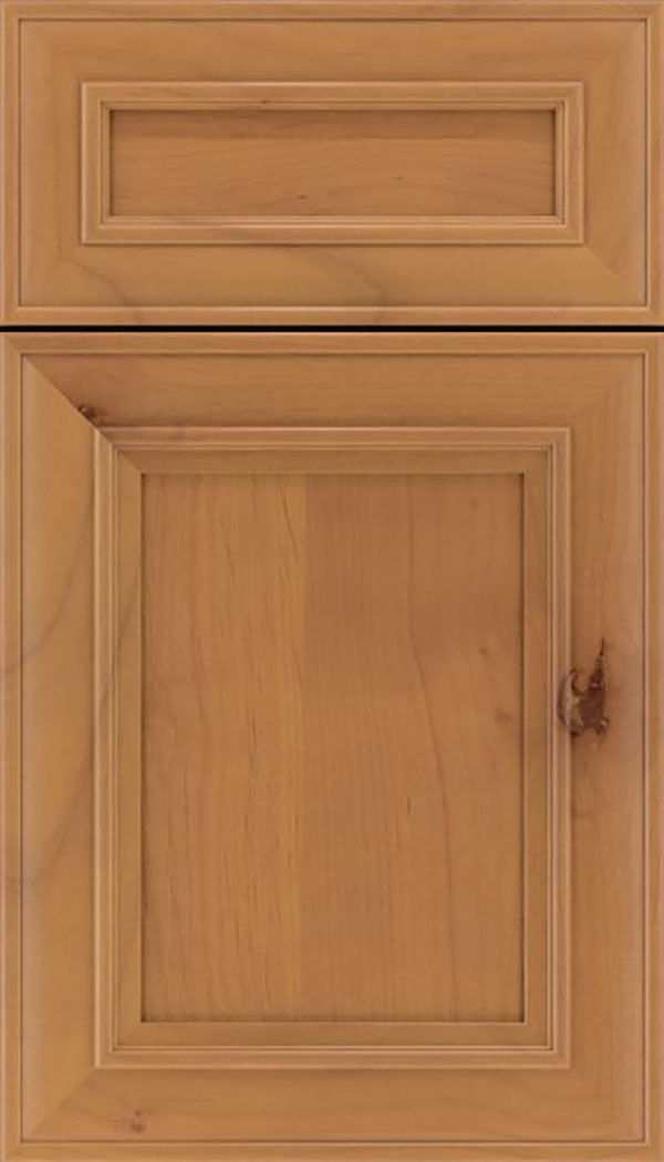 Sheffield 5pc Alder recessed panel cabinet door in Ginger