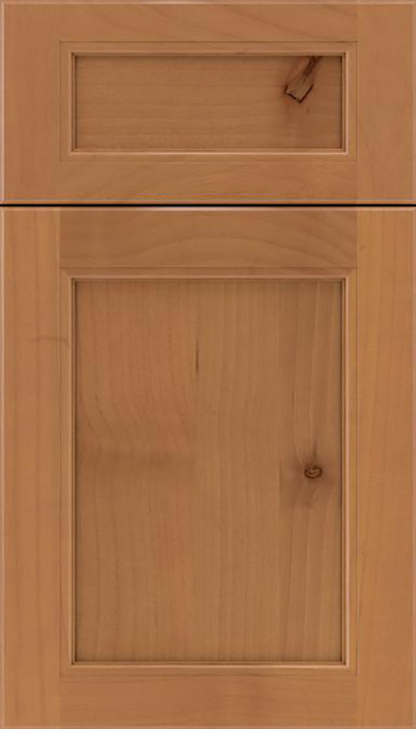 Templeton 5pc Alder recessed panel cabinet door in Ginger
