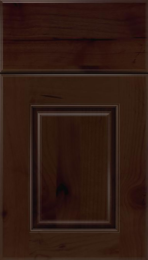 Whittington Alder raised panel cabinet door in Cappuccino