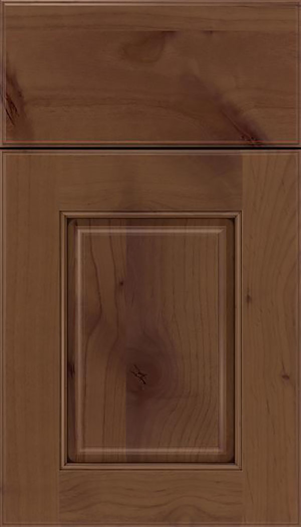 Whittington Alder raised panel cabinet door in Sienna with Mocha glaze