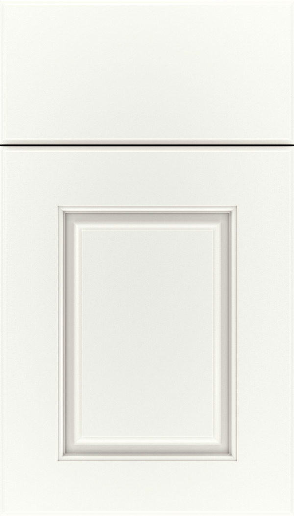 Whittington Maple raised panel cabinet door in Whitecap