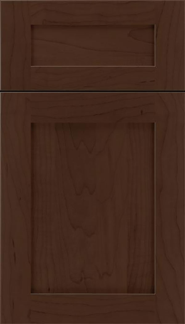 Salem 5pc Maple shaker cabinet door in Cappuccino
