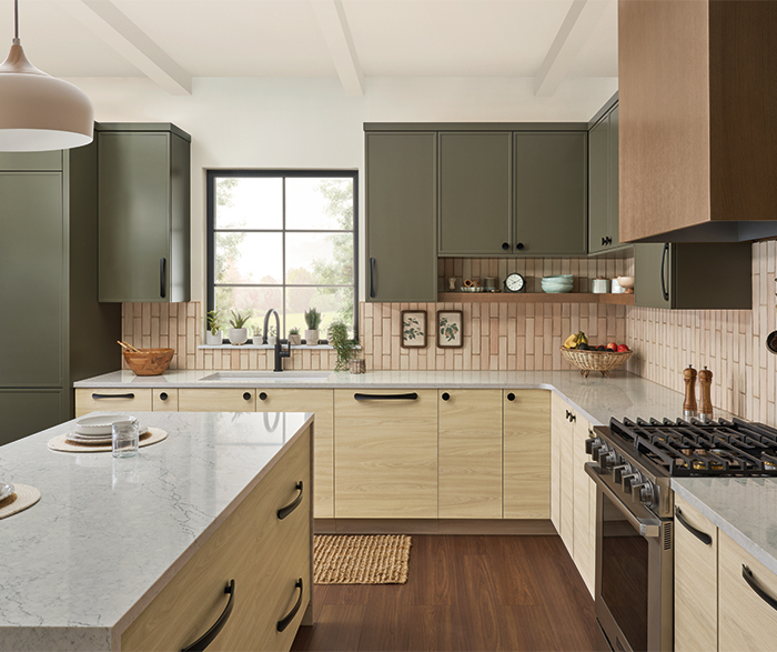 Curated Transitional